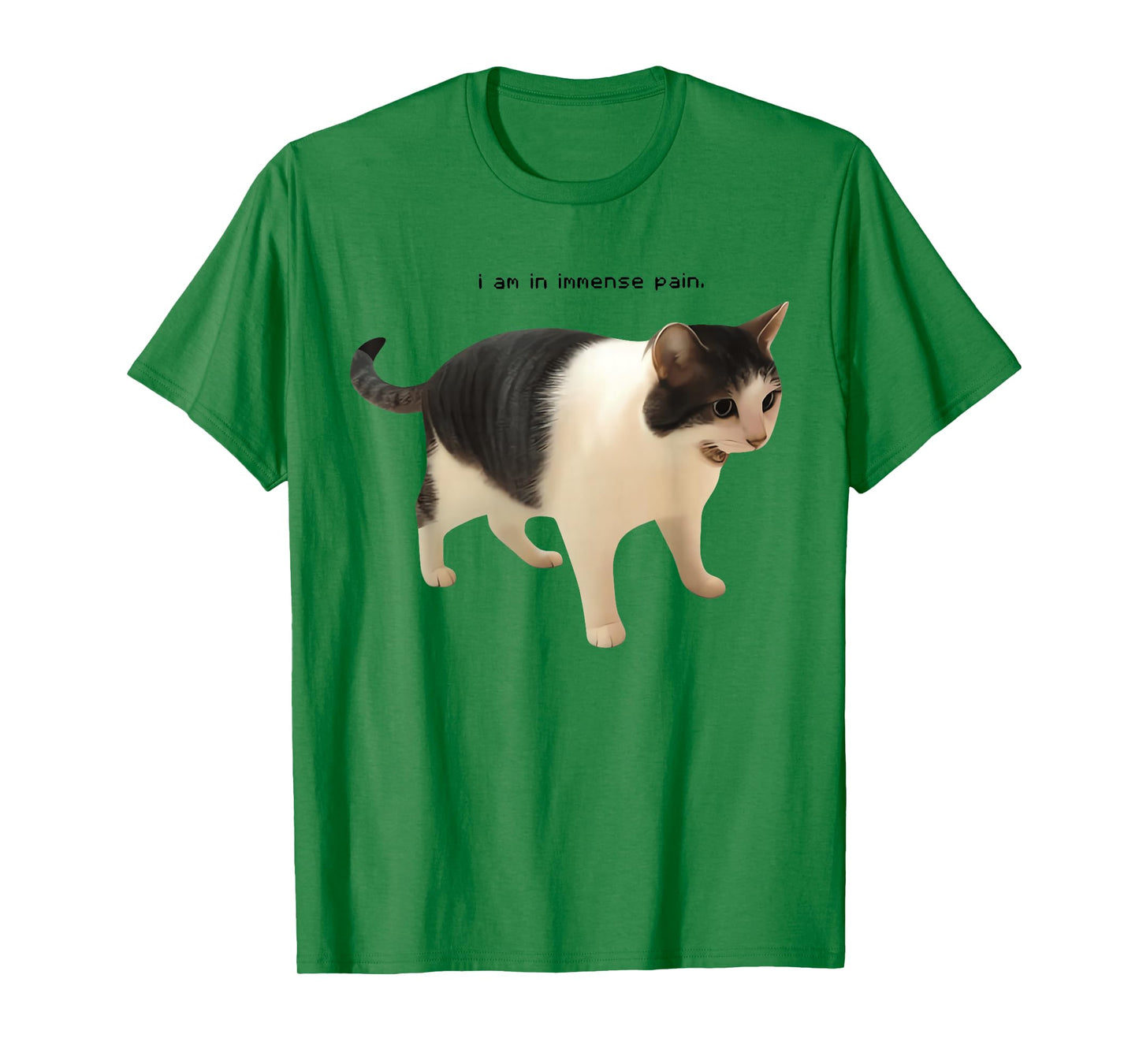 I Am in Immense Pain Funny Cat Meme Quote T-Shirt