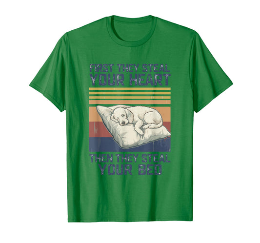 Funny Poodle Pet Lovers Dog Owner Men Women T-Shirt