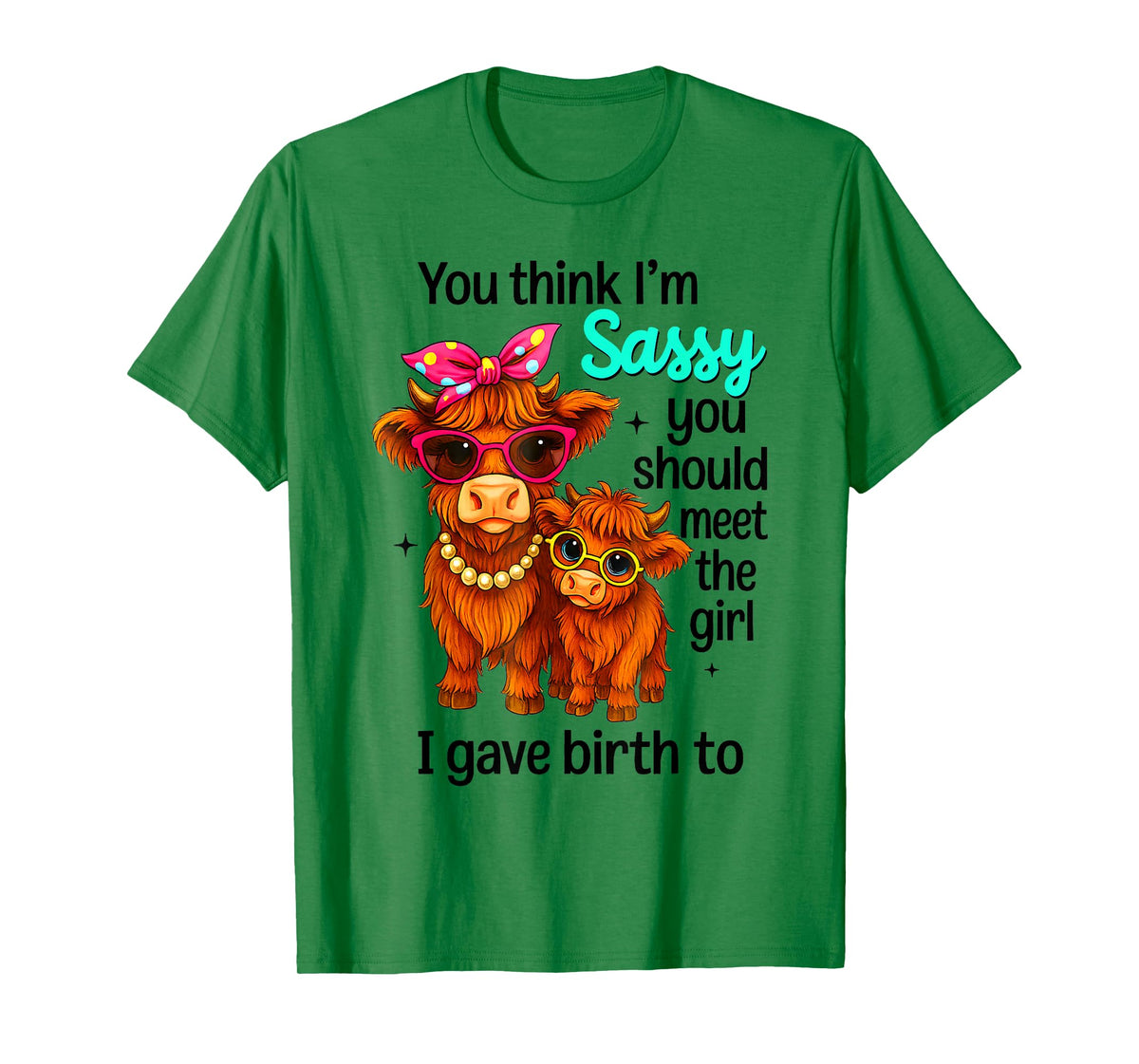 You Think I'm Sassy You Should Meet The Girl I Gave Birth to T-Shirt