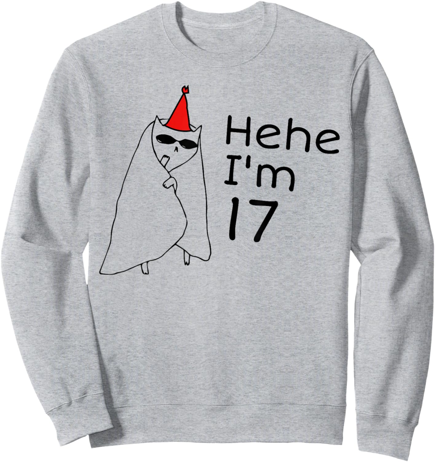 17th Birthday Party Funny 17 Years Old Birthday Teens Sweatshirt - Sweatshirt | Ash