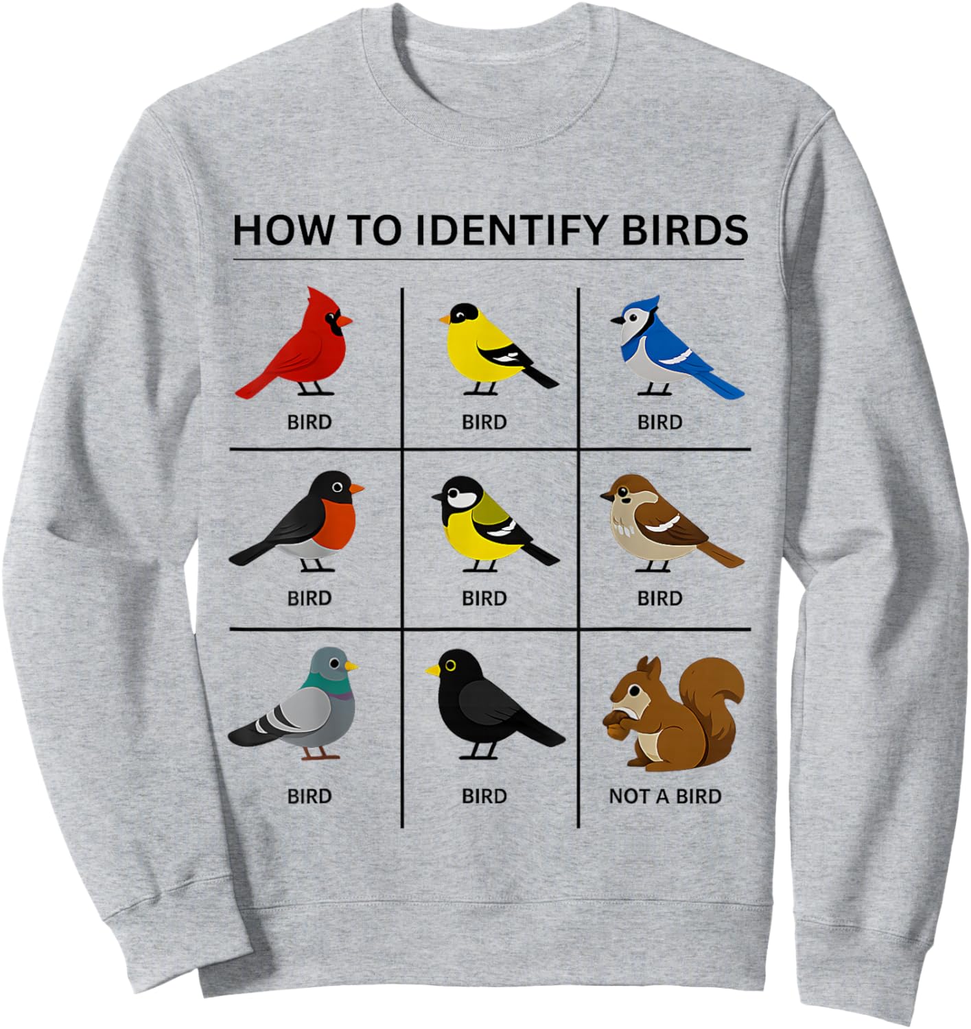 How to Identify A Bird Funny Birdwatching Cute Squirrel Joke Sweatshirt - Sweatshirt | Ash