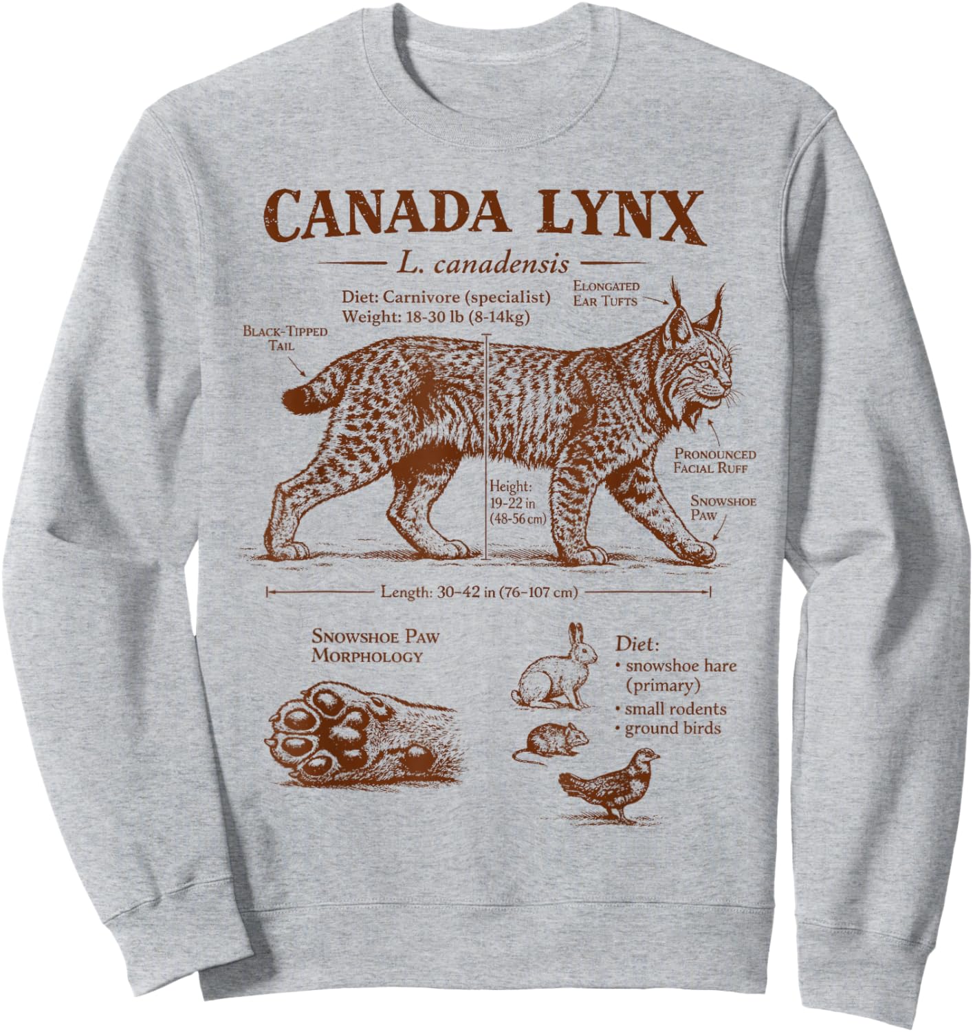 Canada Lynx Anatomy Wildlife Wild Animal Lover Zoologist Sweatshirt - Sweatshirt | Ash