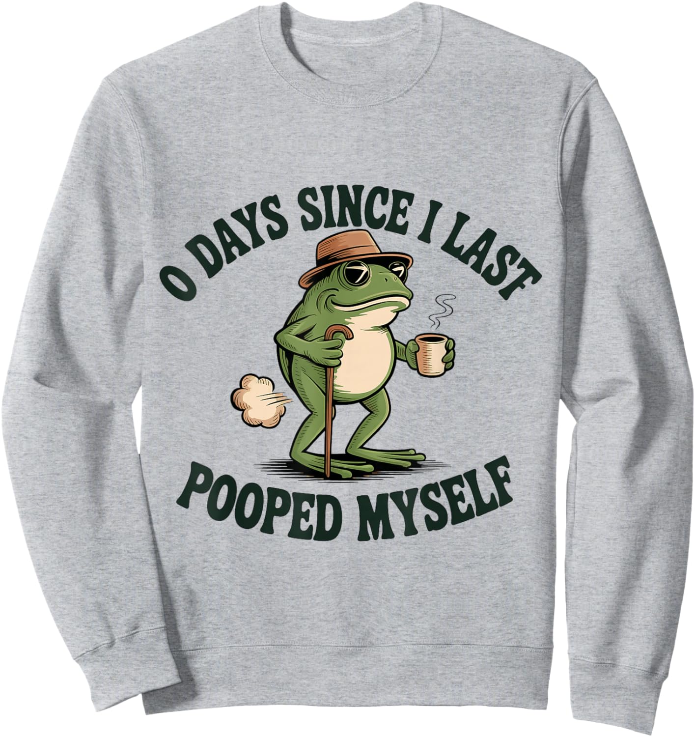 0 Days Since I Last Pooped Myself Meme Sweatshirt - Sweatshirt | Ash