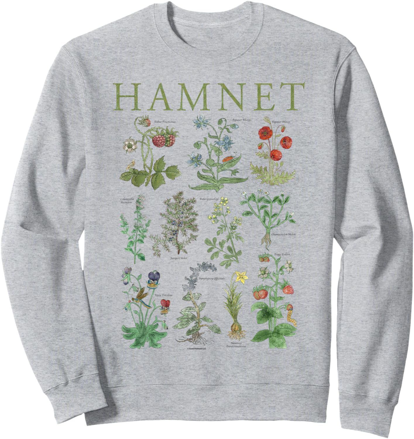 Botanical Illustration Sweatshirt - Sweatshirt | Ash
