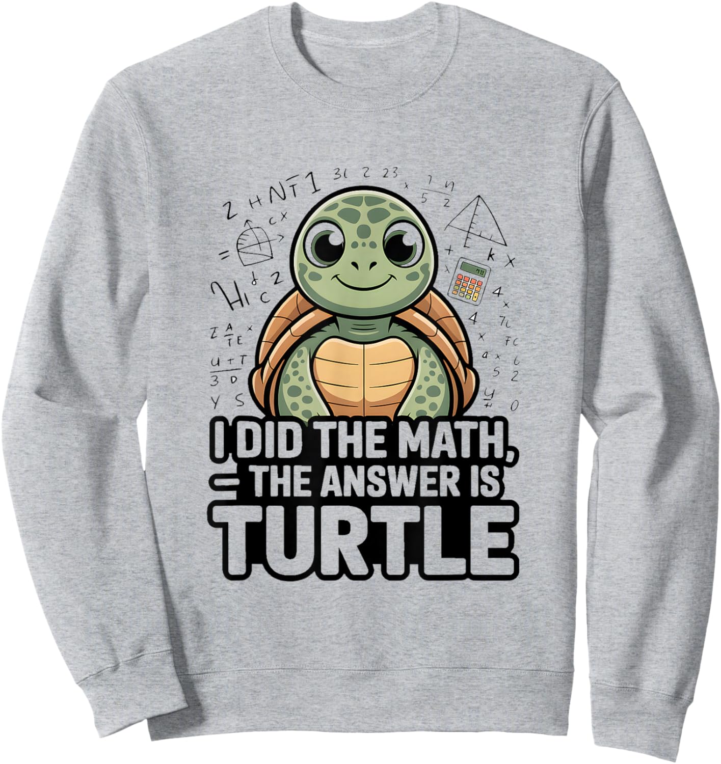 I Did The Math The Answer is Turtle Student Sweatshirt - Sweatshirt | Ash