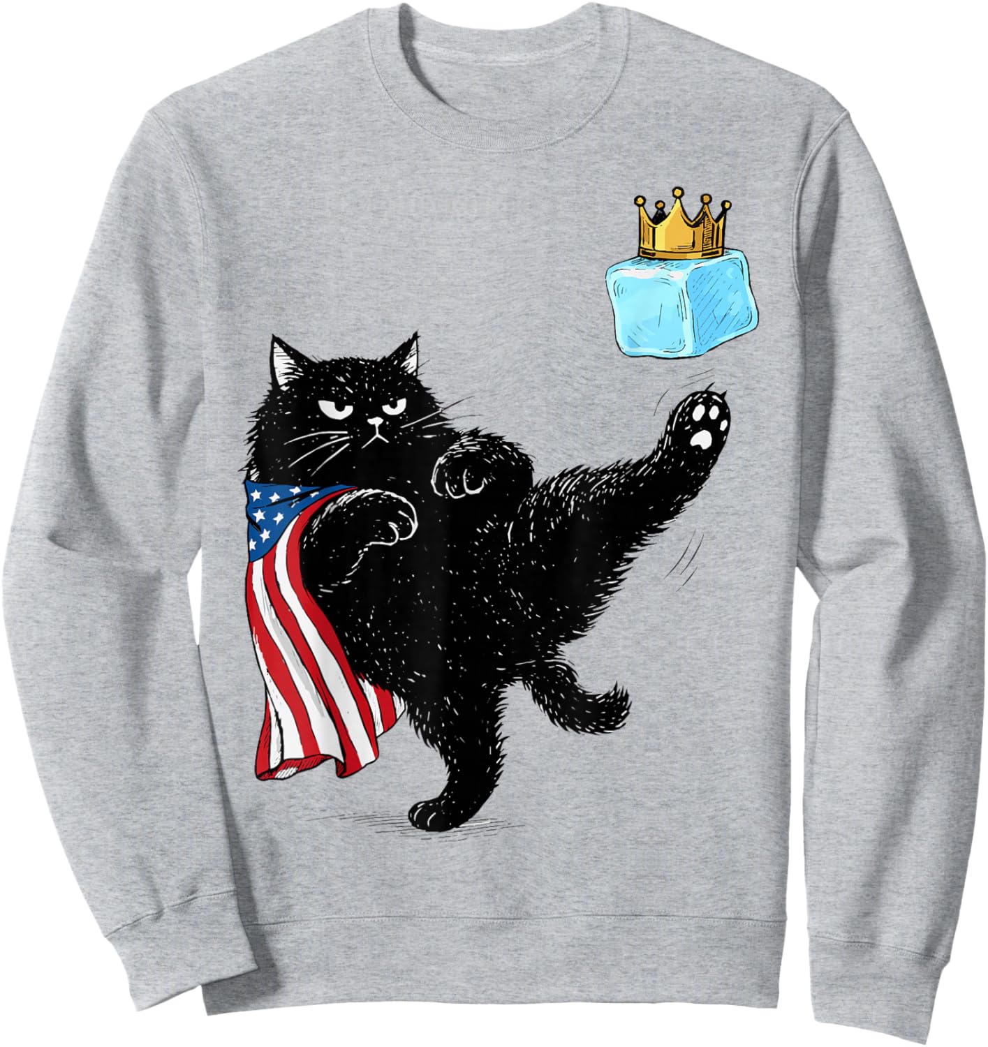 Abolish ICE Cat Resist Sweatshirt - Sweatshirt | Ash