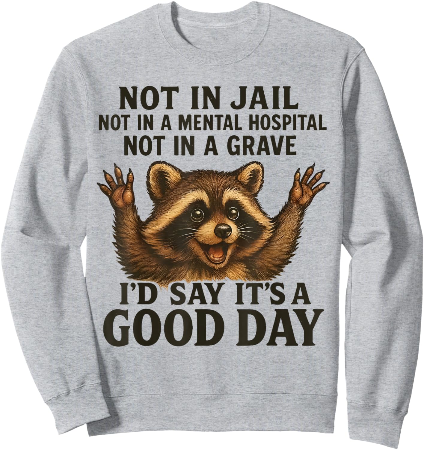 Raccoon Not in Jail Not in A Mental Hospital Funny Saying Sweatshirt - Sweatshirt | Ash