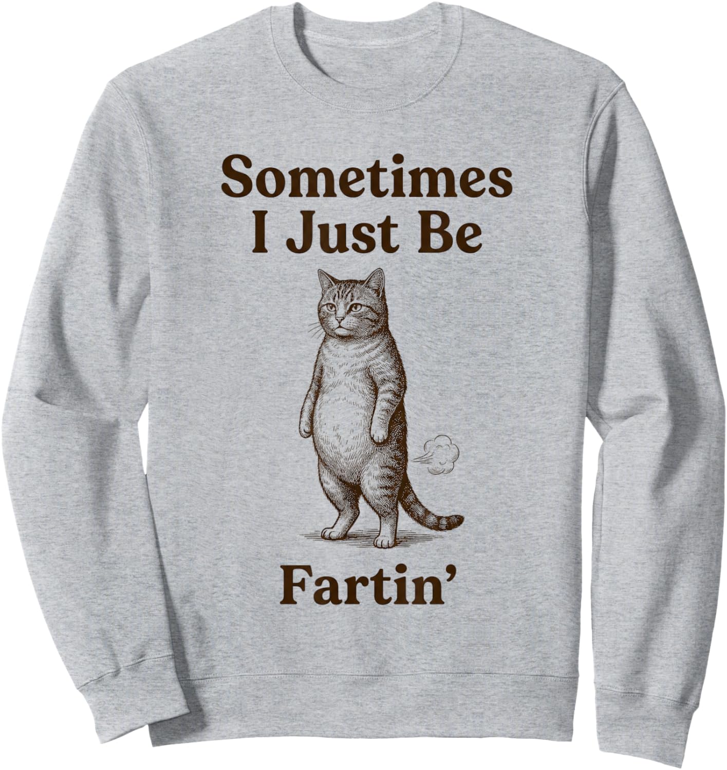 Cat Sometimes I Just Be Fartin Meme Style Sweatshirt - Sweatshirt | Ash