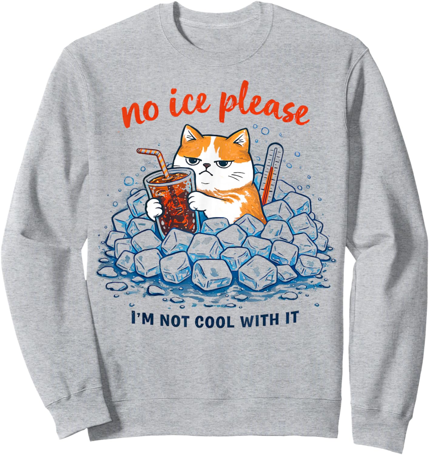 No Ice Please Funny Cat Meme Sweatshirt - Sweatshirt | Ash