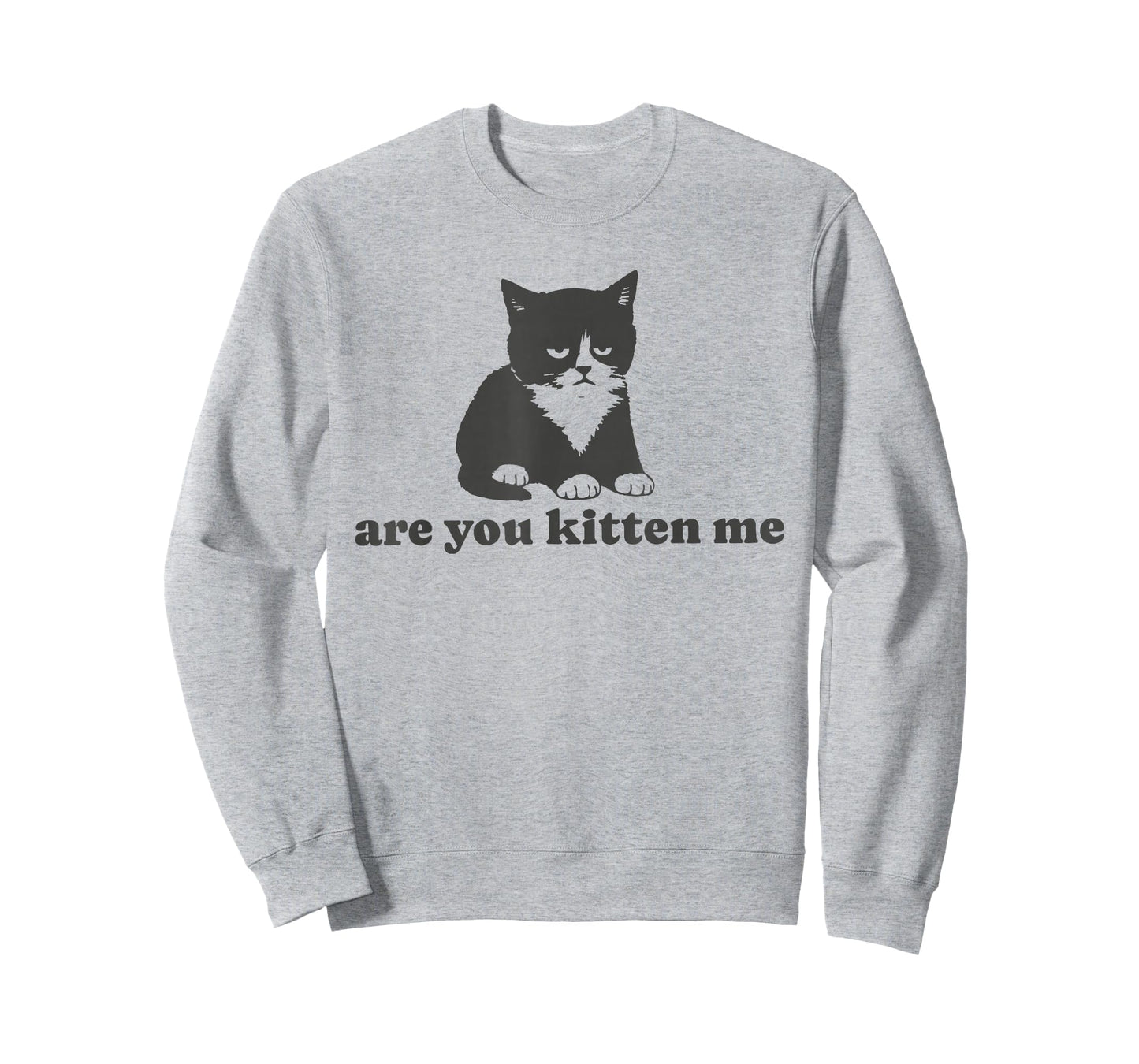 are You Kitten me T-Shirt