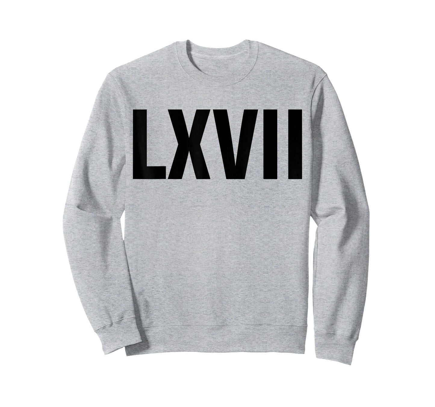 Roman 67 Year Old Funny Teacher 67th Birthday LXVII Meme 6 7 T-Shirt