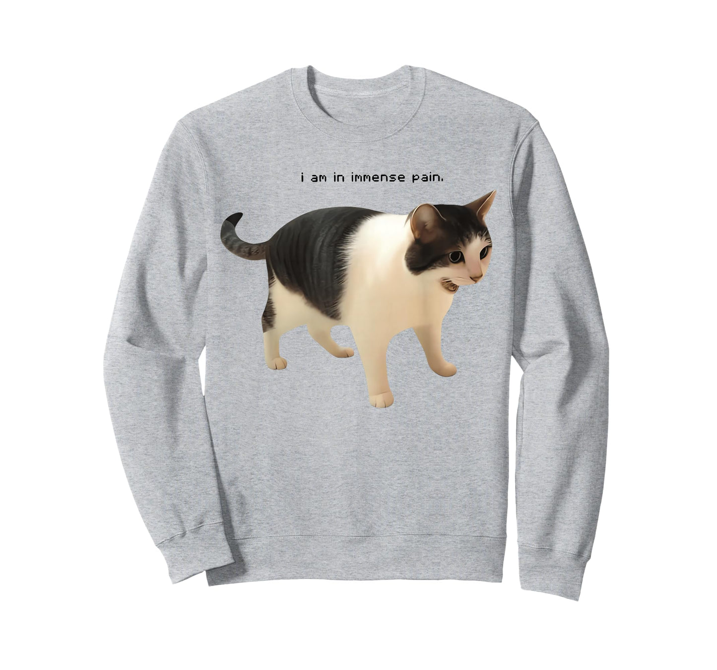 I Am in Immense Pain Funny Cat Meme Quote T-Shirt