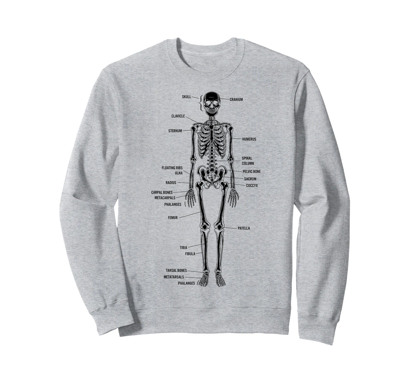 Skeleton Bones Anatomy Detailed Study Illustration T-Shirt