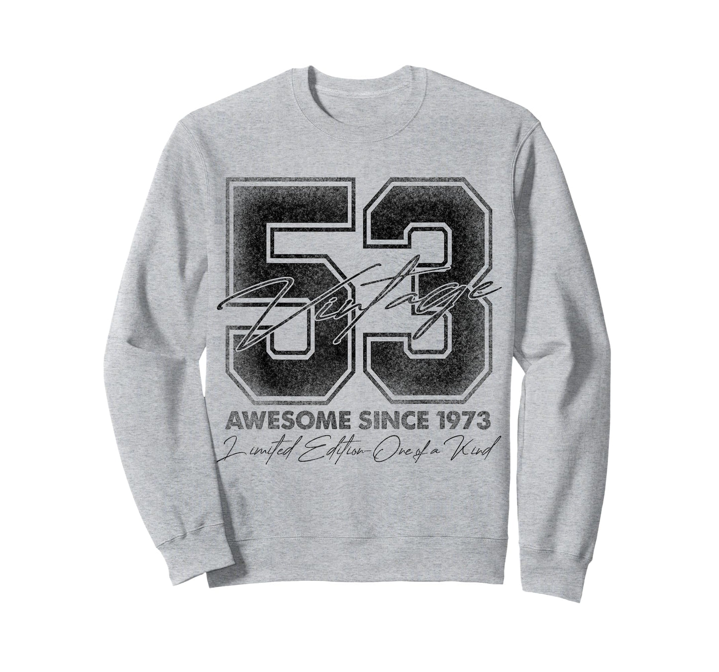 53 Year Old Gifts Vintage 1973 Limited Edition 53rd Birthday T-Shirt