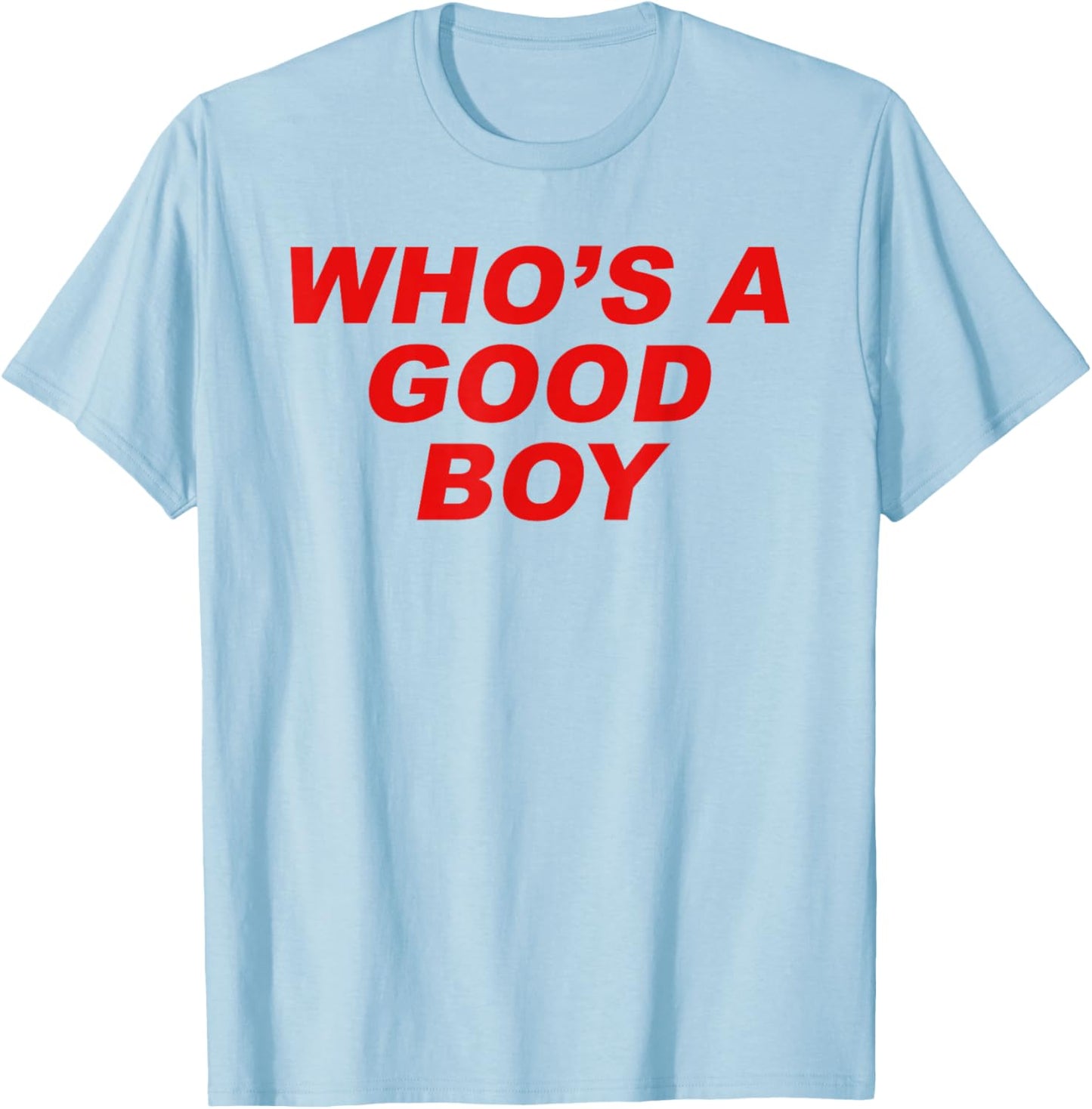 Who's A Good Boy - Funny Sarcastic Twink Slogan LGBTQ Kink T-Shirt - T-Shirt | Light Blue
