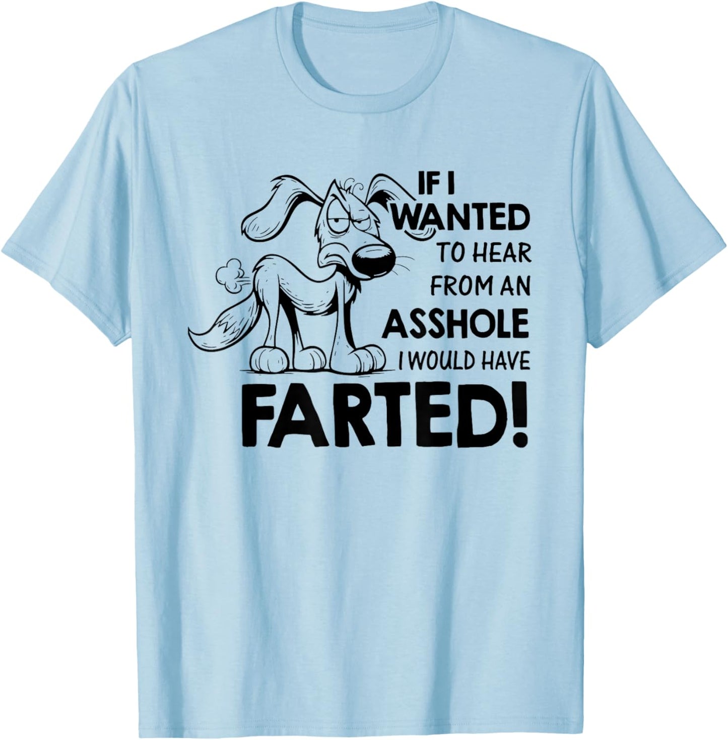 If I Wanted to Hear from an Asshole I Would Have Farted T-Shirt - T-Shirt | Light Blue