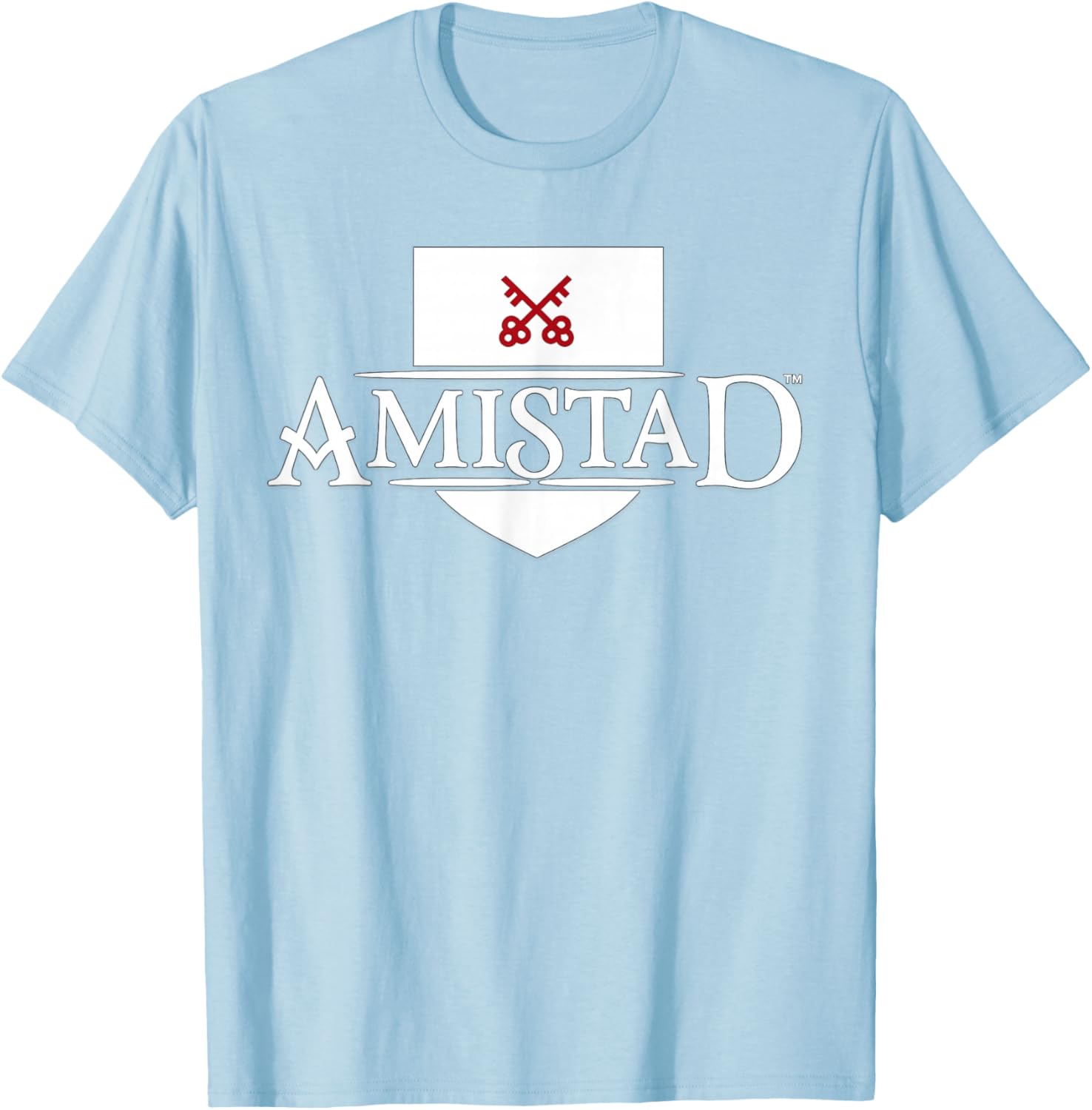 Amistad House of Friendship, Teachers Students School T-Shirt - T-Shirt | Light Blue