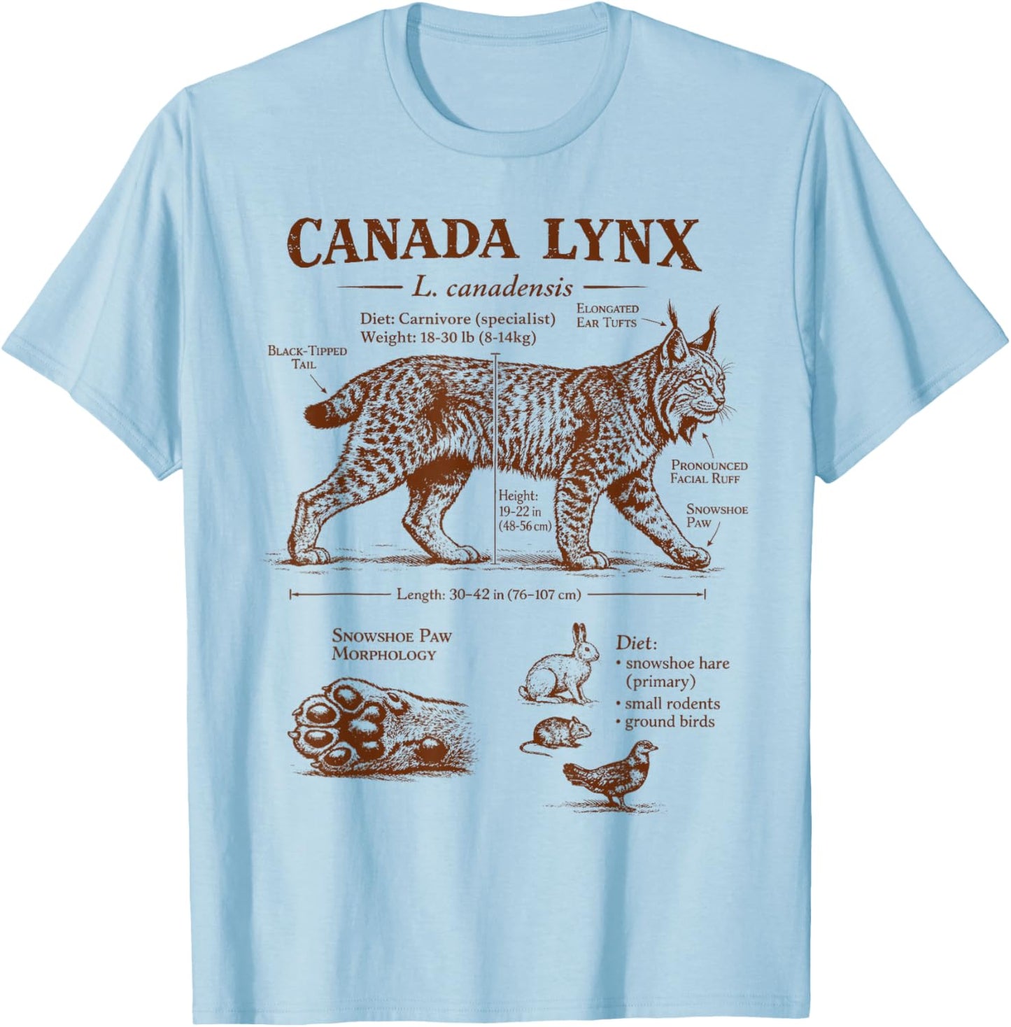 Canada Lynx Anatomy Wildlife Wild Animal Lover Zoologist T-Shirt - T-Shirt | Light Blue