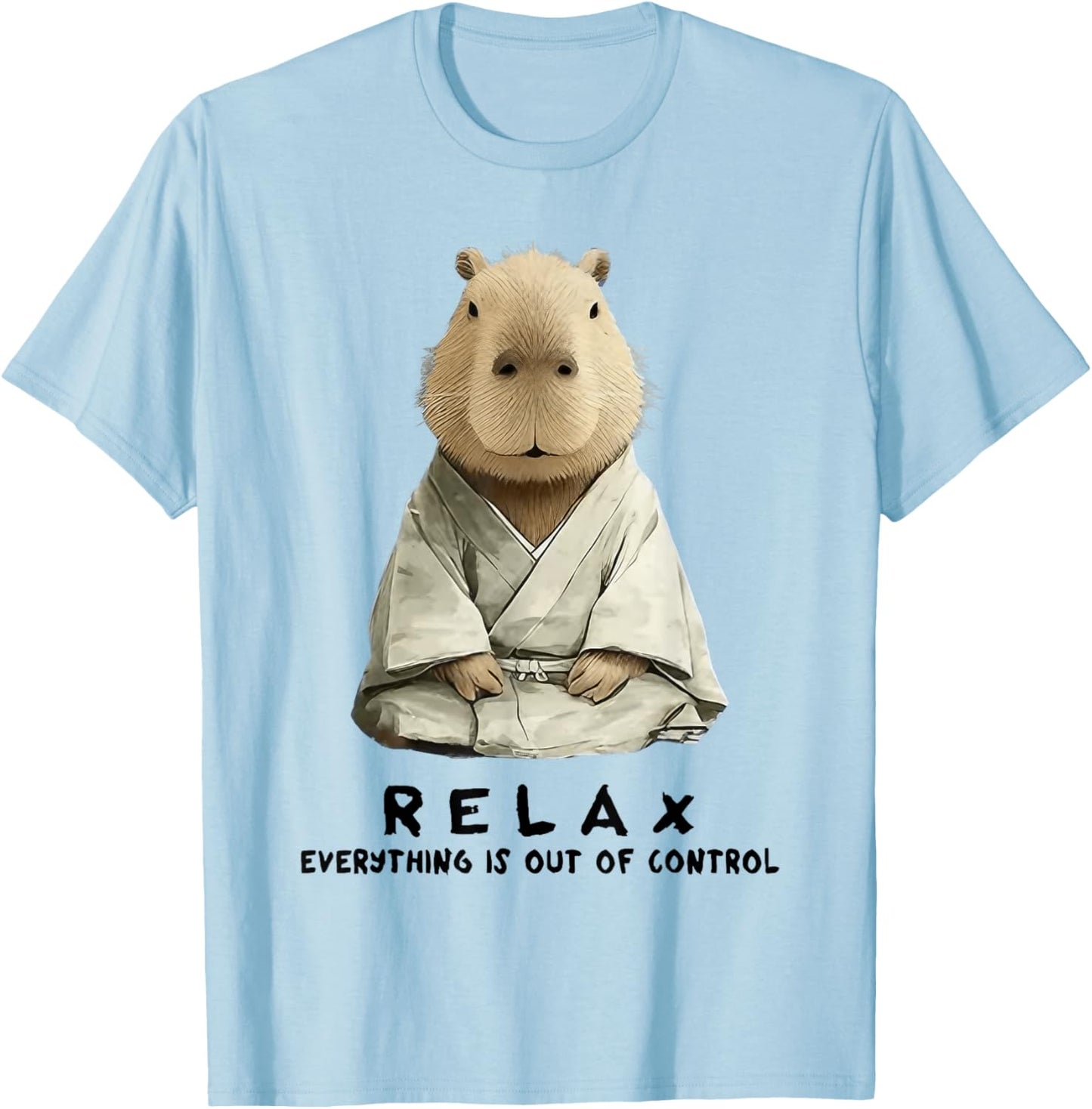 Relax Everything is Out of Control Funny Zen Capybara Art T-Shirt - T-Shirt | Light Blue