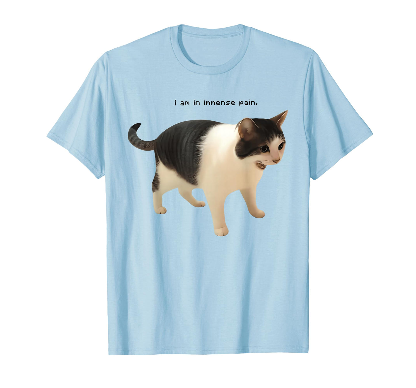 I Am in Immense Pain Funny Cat Meme Quote T-Shirt