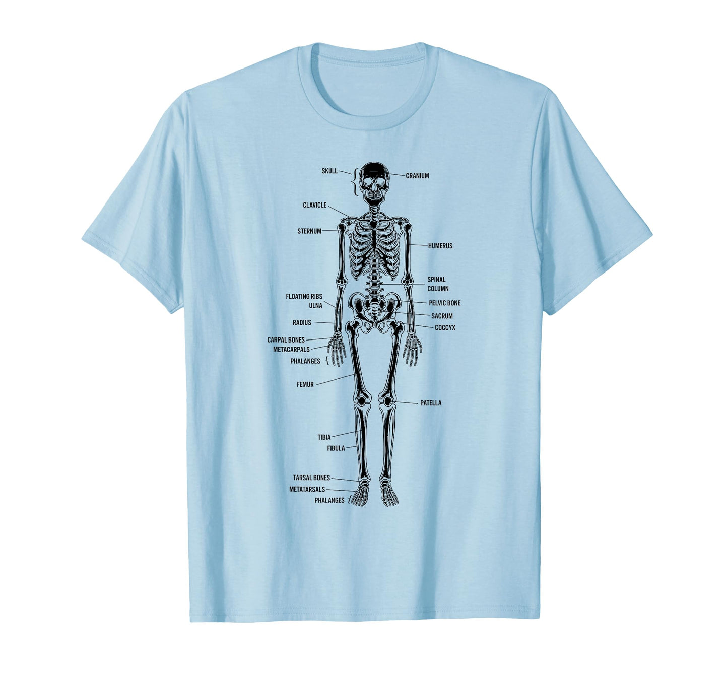 Skeleton Bones Anatomy Detailed Study Illustration T-Shirt