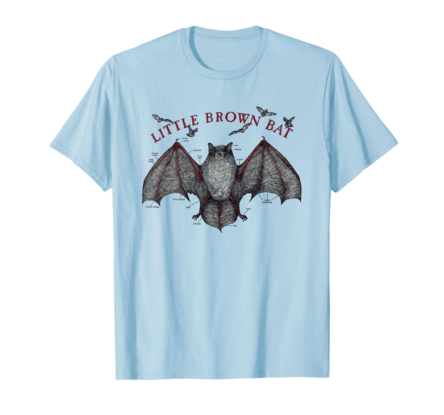 Little Brown Bat Anatomy Science Diagram T-Shirt