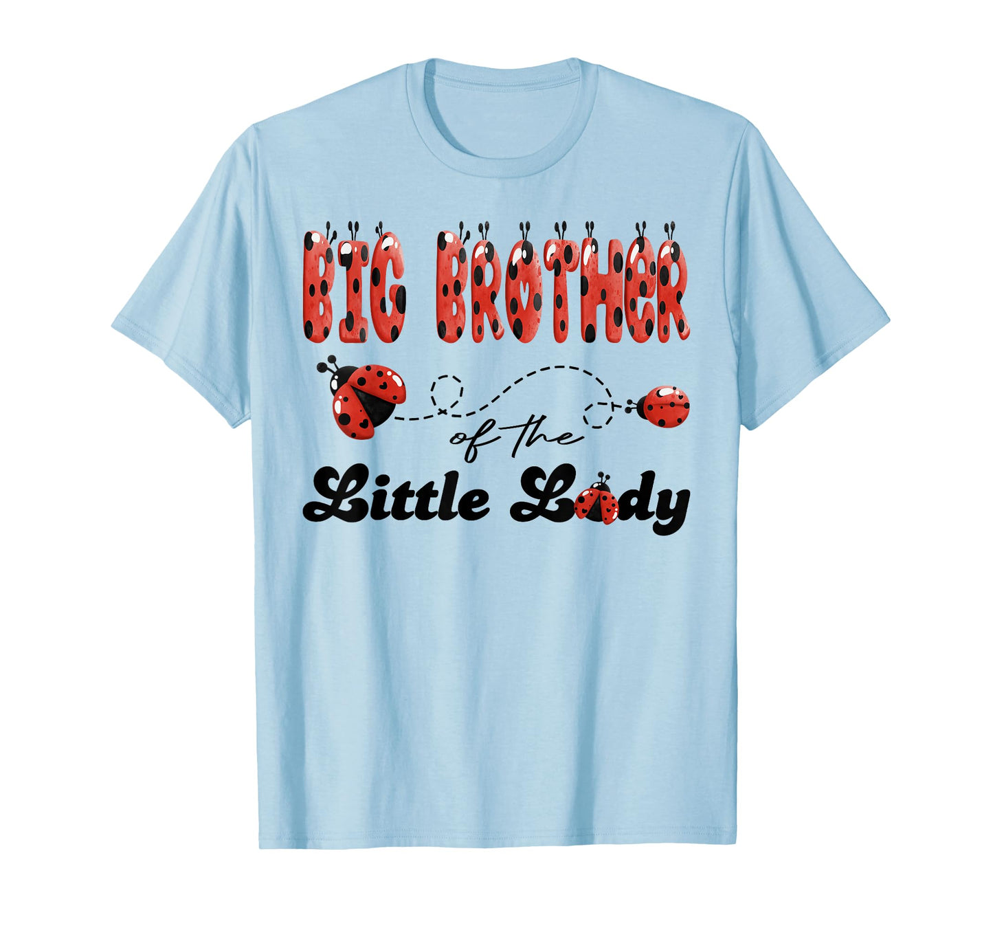 Big Brother of The Little Lady Birthday Girl Ladybug Lover T-Shirt