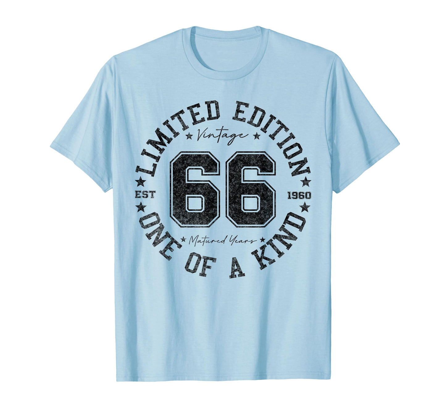 66 Year Old Gifts Vintage 1960 Limited Edition 66th Birthday T-Shirt