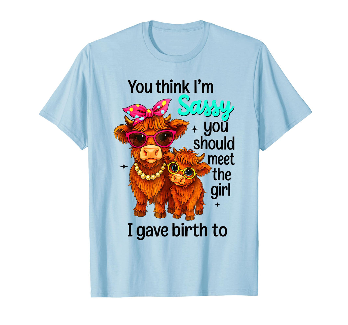 You Think I'm Sassy You Should Meet The Girl I Gave Birth to T-Shirt