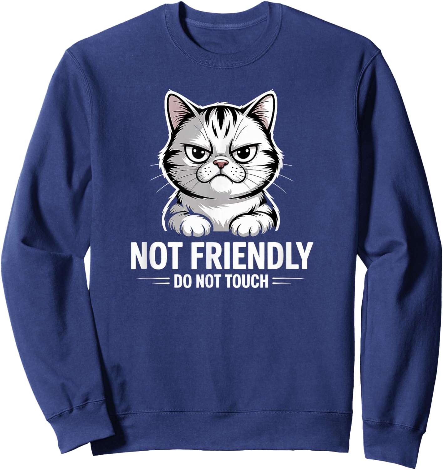 Sarcastic Cat Not Friendly, Do Not Touch Funny Cat Lover's Sweatshirt - Sweatshirt | Navy