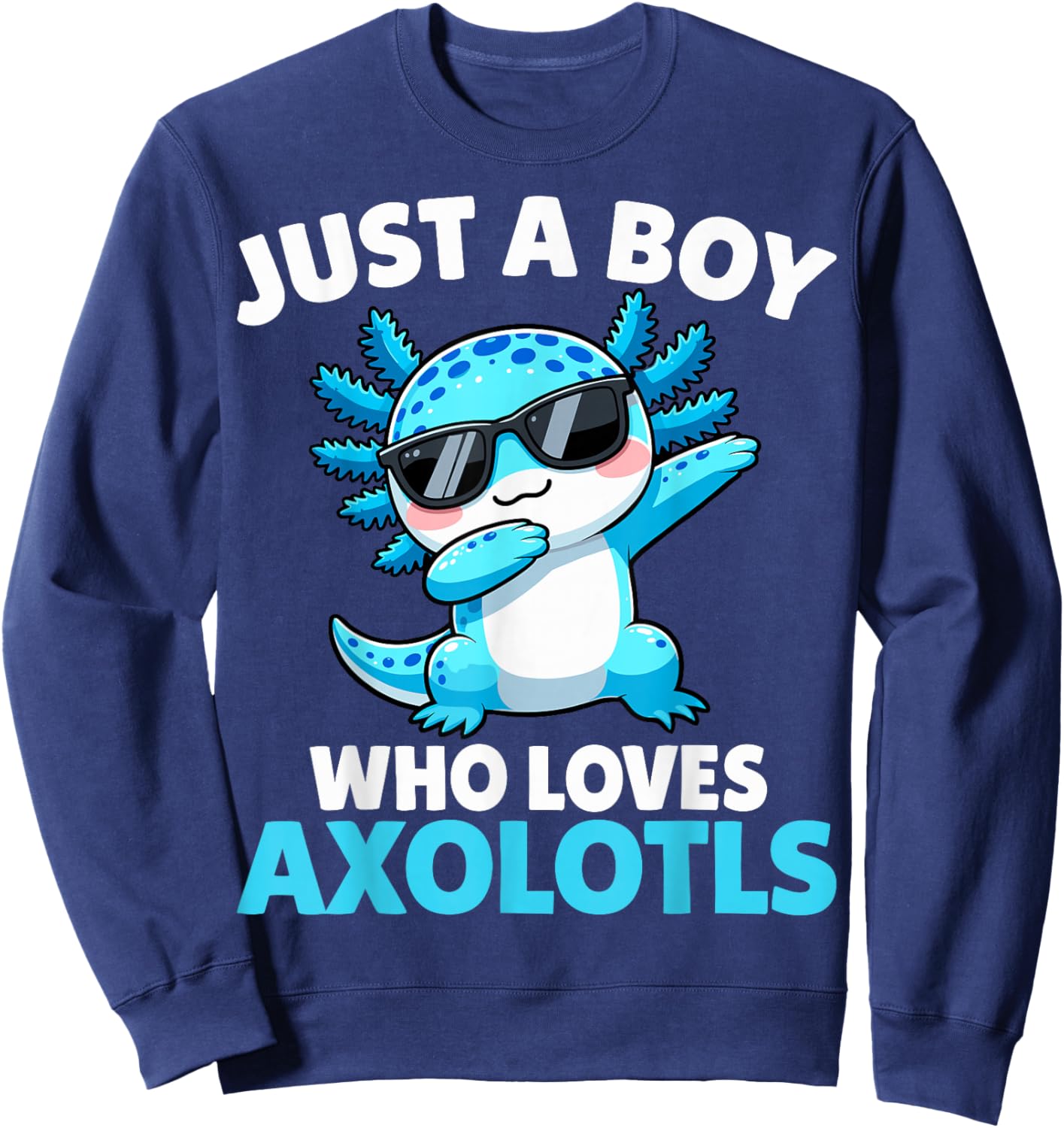 Just A Boy Who Loves Axolotls Sweatshirt - Sweatshirt | Navy