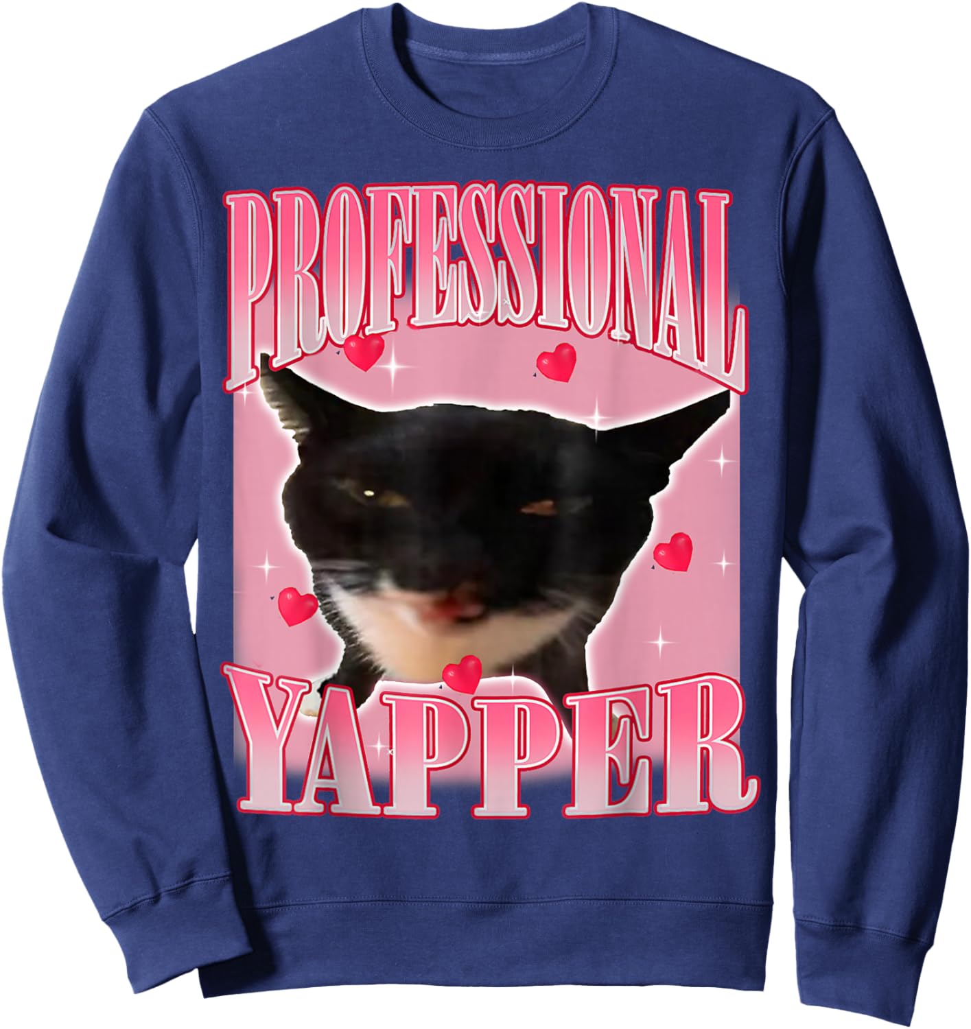 Professional Yapper Cat Funny Oddly Specific Dank Meme Sweatshirt - Sweatshirt | Navy