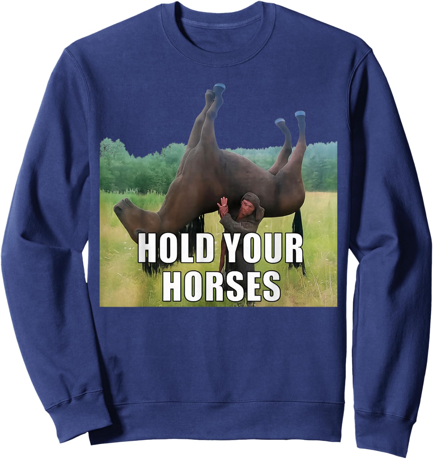 Hold Your Horses Funny Saying Men Women Sarcastic Humor Sweatshirt - Sweatshirt | Navy