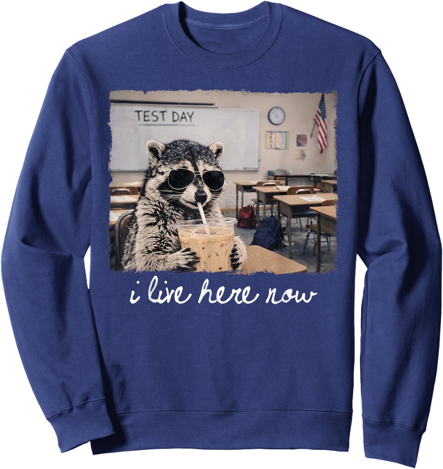 I Live Here Now Funny Raccoon It's Test Day Sweatshirt - Sweatshirt | Navy