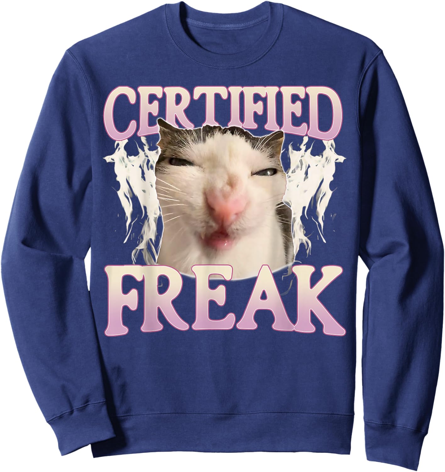 Certified Freak Eat Cement Funny Cat Meme Vintage Humor Cat Sweatshirt - Sweatshirt | Navy