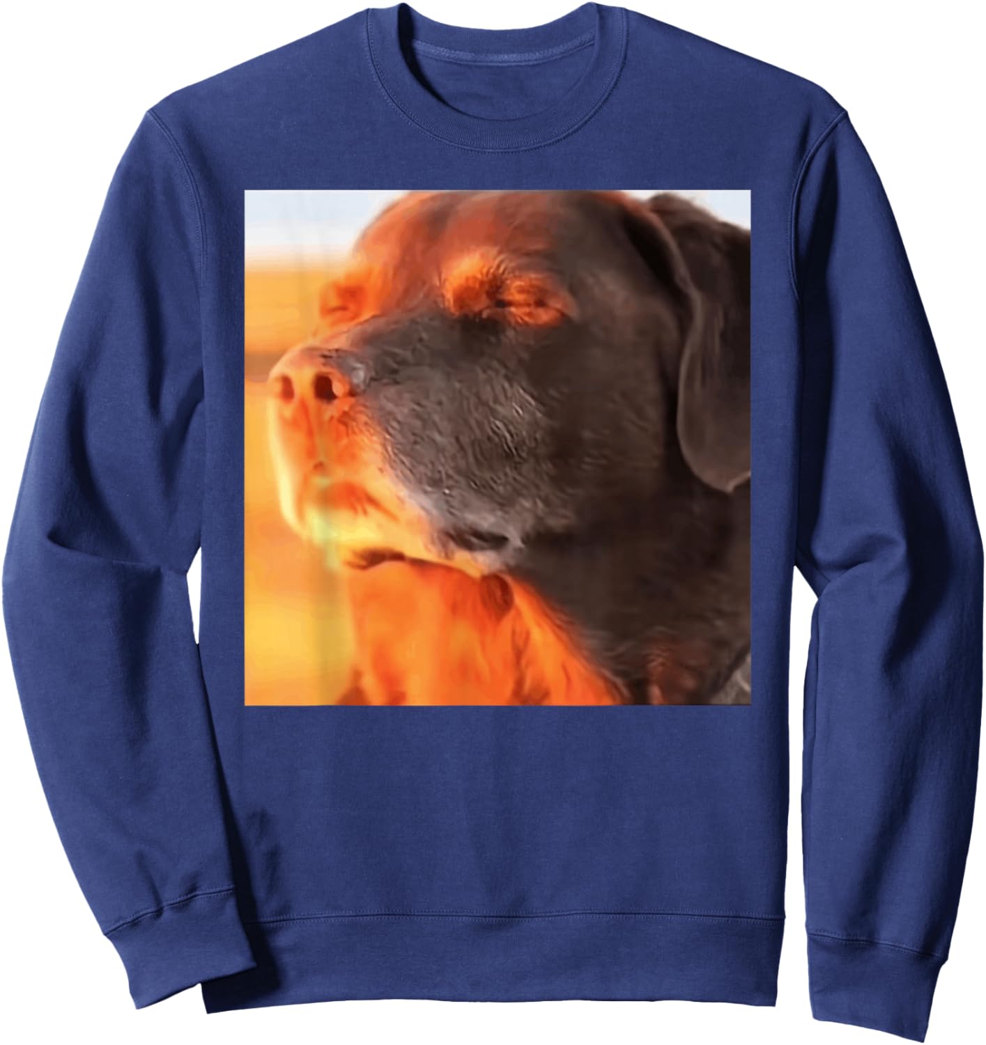 Dog in The Sunset Meme Sweatshirt - Sweatshirt | Navy