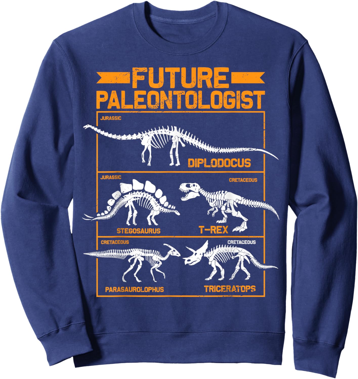 Future Paleontologist Dinosaur Paleontology T-Rex Boys Sweatshirt - Sweatshirt | Navy
