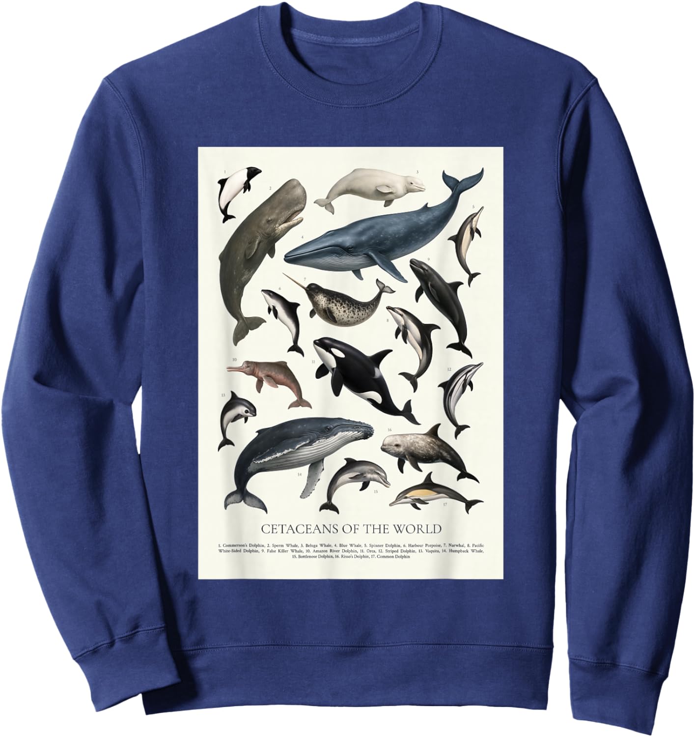 Cetaceans of The World Retro Style Identification Sweatshirt - Sweatshirt | Navy