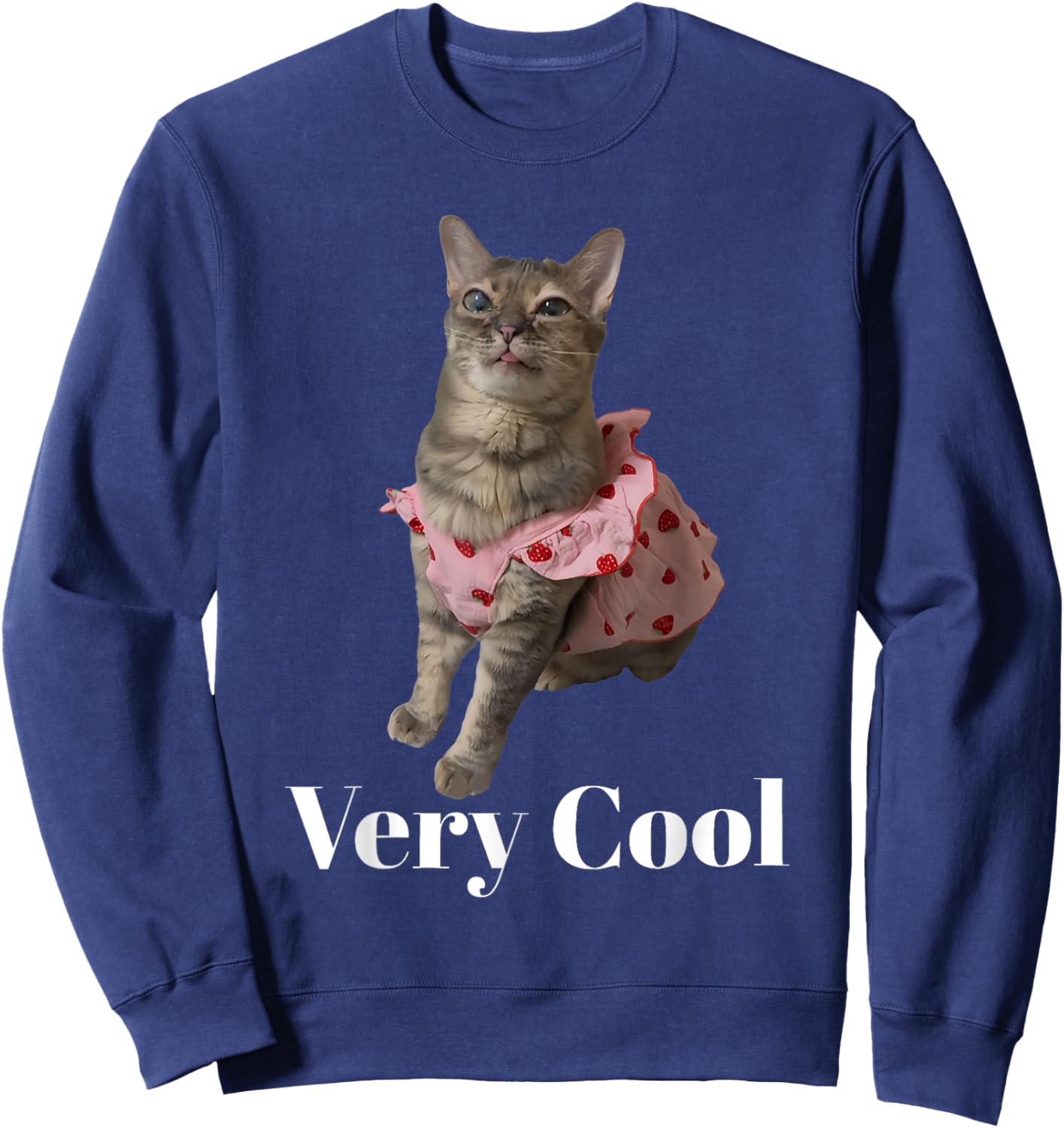Gumbus Very Cool Strawberry Funny Brainrot Cat Dank Meme Sweatshirt - Sweatshirt | Navy