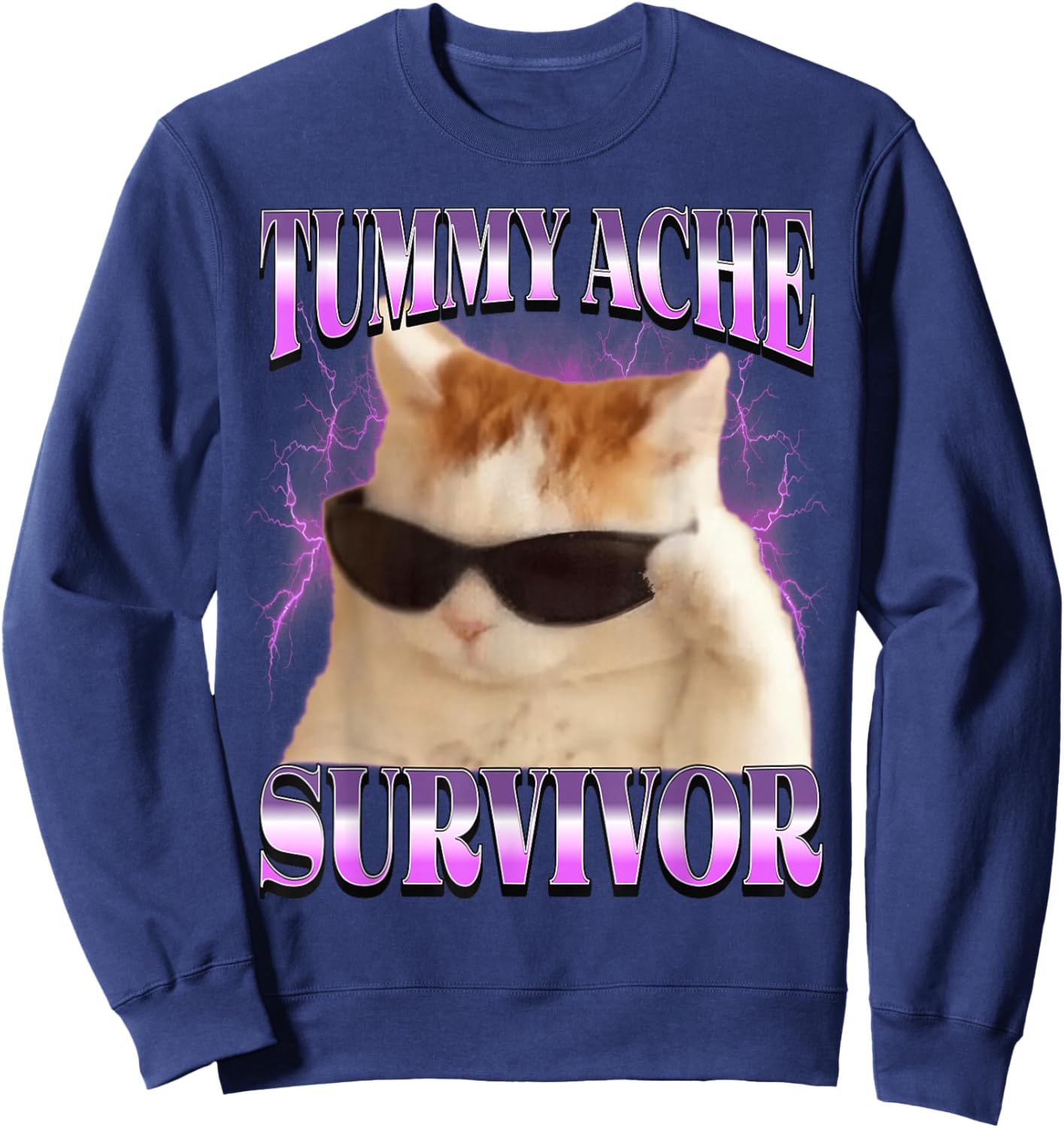 I Survived Today's Tummy Ache Cat Meme Funny Cats Sweatshirt - Sweatshirt | Navy