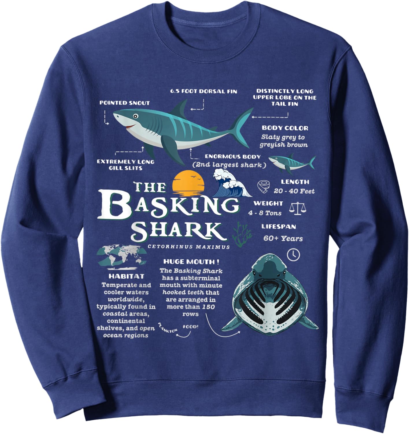 Basking Shark Anatomy Retro Wildlife Oceancore Animal Sweatshirt - Sweatshirt | Navy