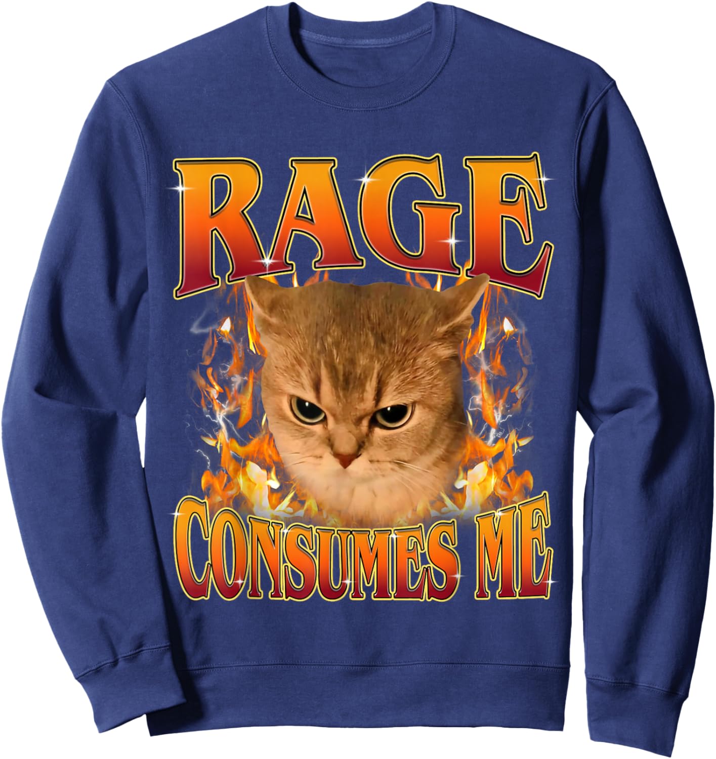 Rage Consumes Me Funny Silly Y2K Cat Meme Women Men Sweatshirt - Sweatshirt | Navy