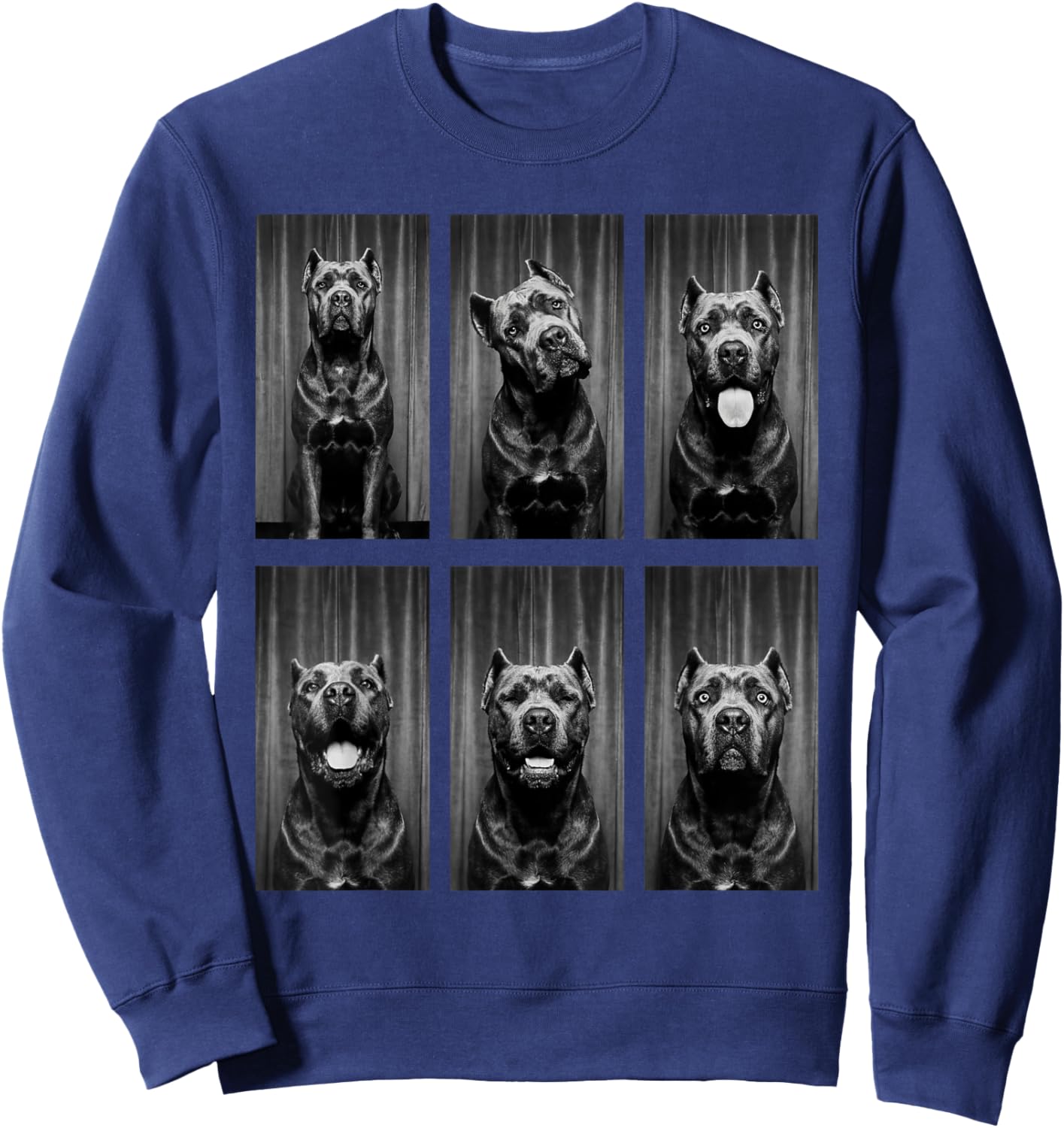 Cane Corso Photobooth Dog Owner Funny Animal Portrait Sweatshirt - Sweatshirt | Navy