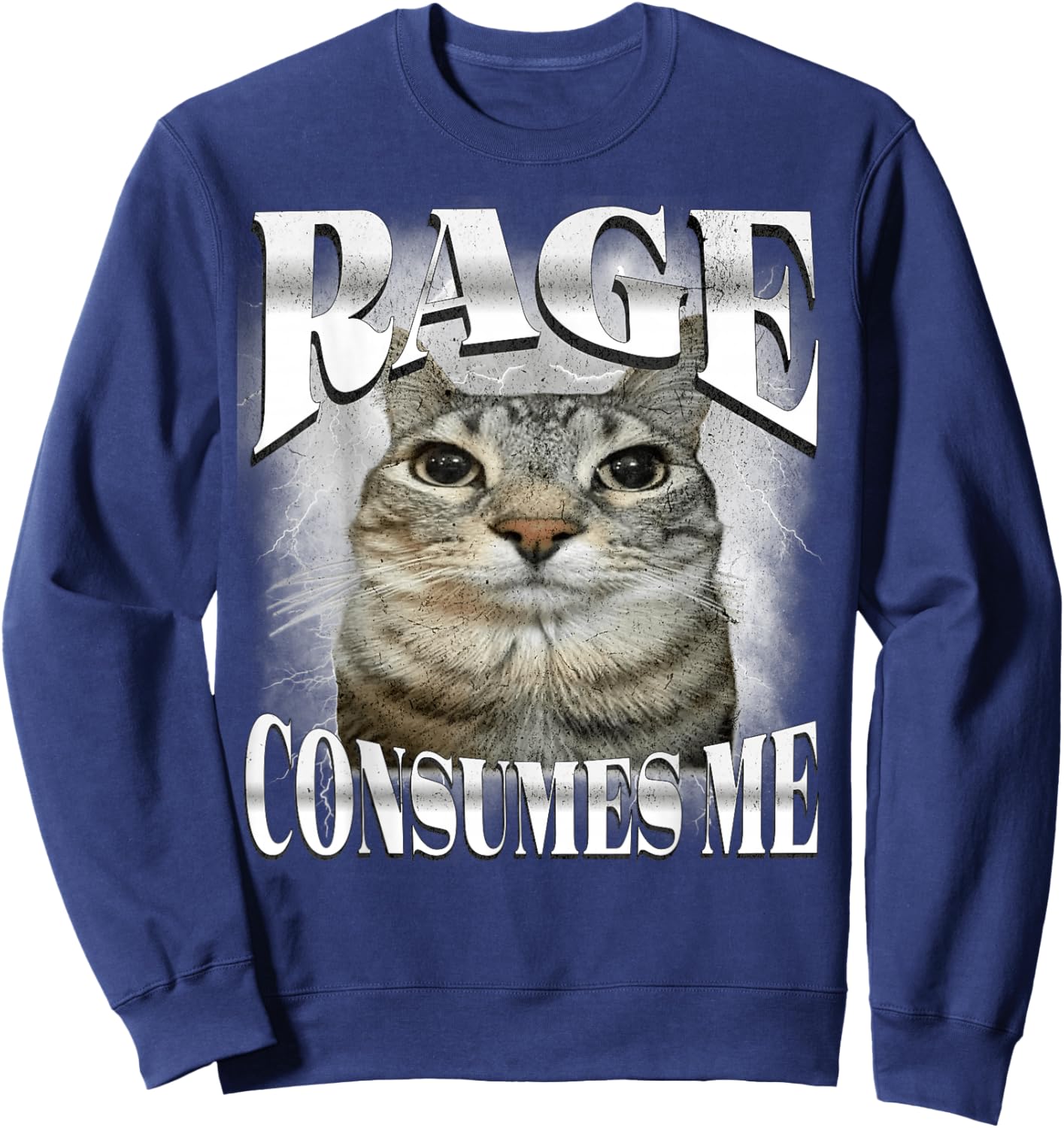 Rage Consumes Me Funny Silly Staring Cat Meme Women Men Sweatshirt - Sweatshirt | Navy