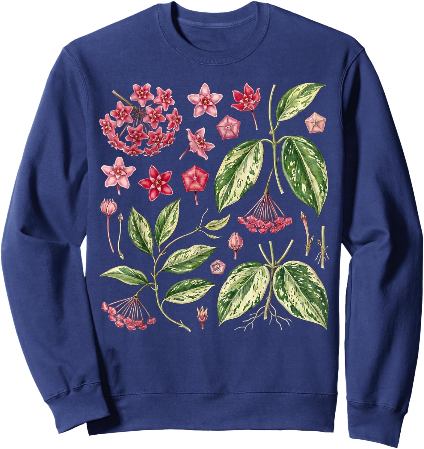 Botanical Hoya Carnosa Flower Anatomy Houseplant Plant Lover Sweatshirt - Sweatshirt | Navy