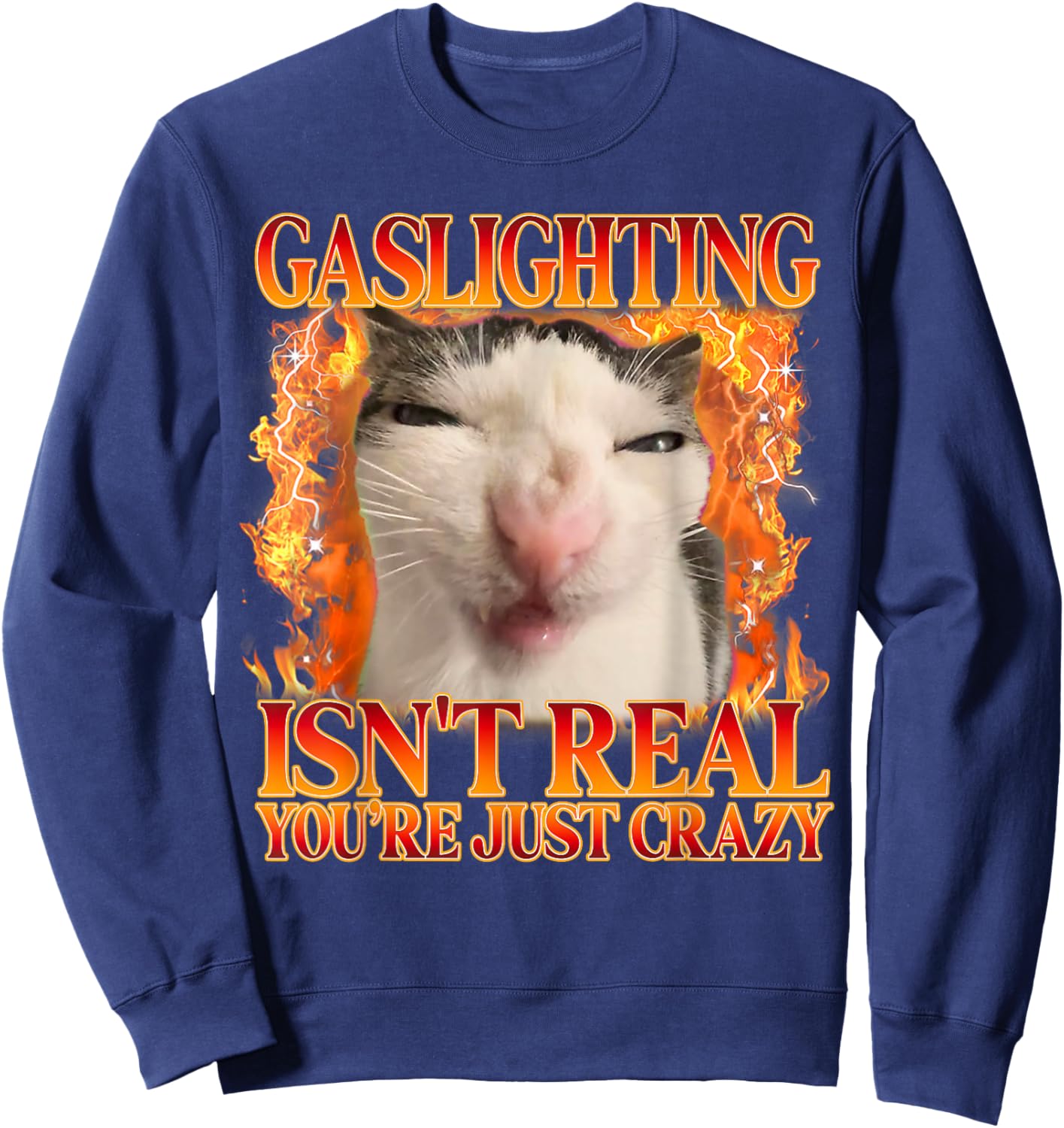 Funny Cat Meme Gaslighting Isn't Real You're Just Crazy Sweatshirt - Sweatshirt | Navy