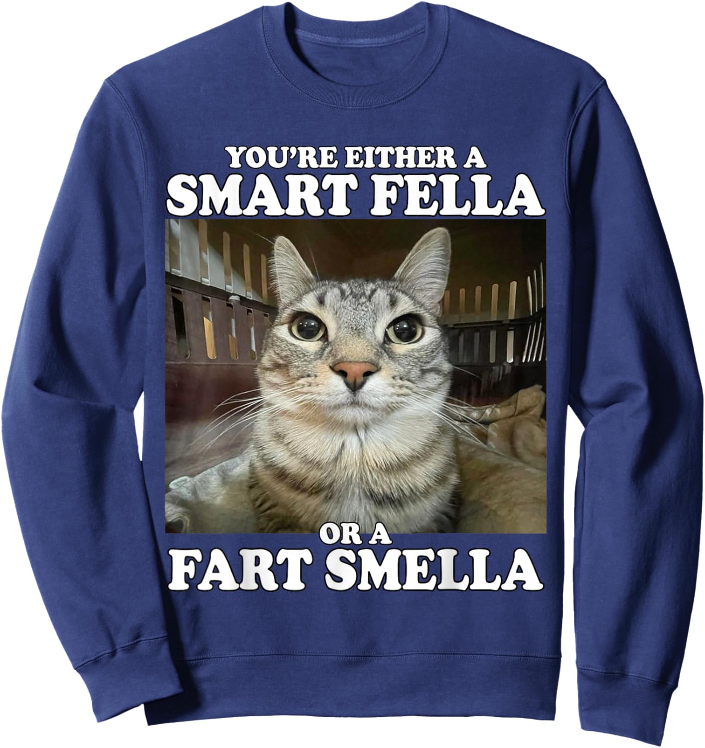 You're Either A Smart Fella Or A Fart Smella Funny Cat Meme Sweatshirt - Sweatshirt | Navy