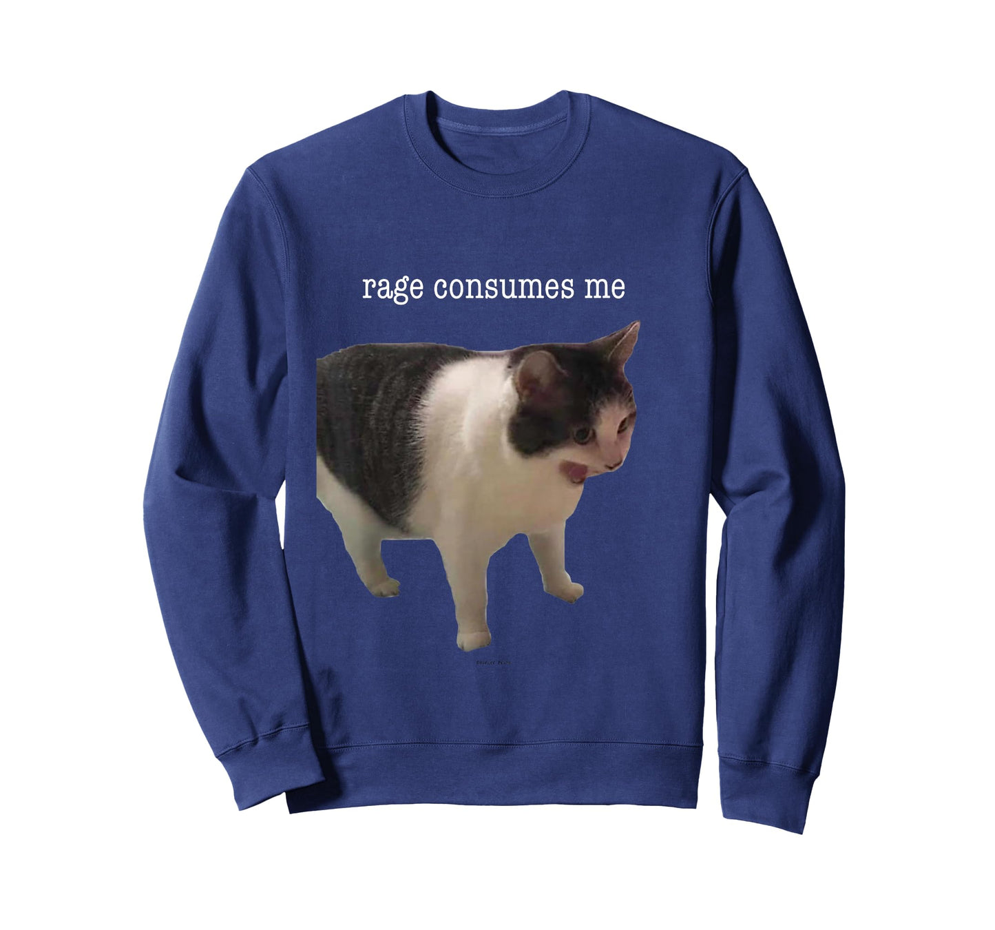 Rage Consumes Me Funny Cat Meme Men Women T-Shirt