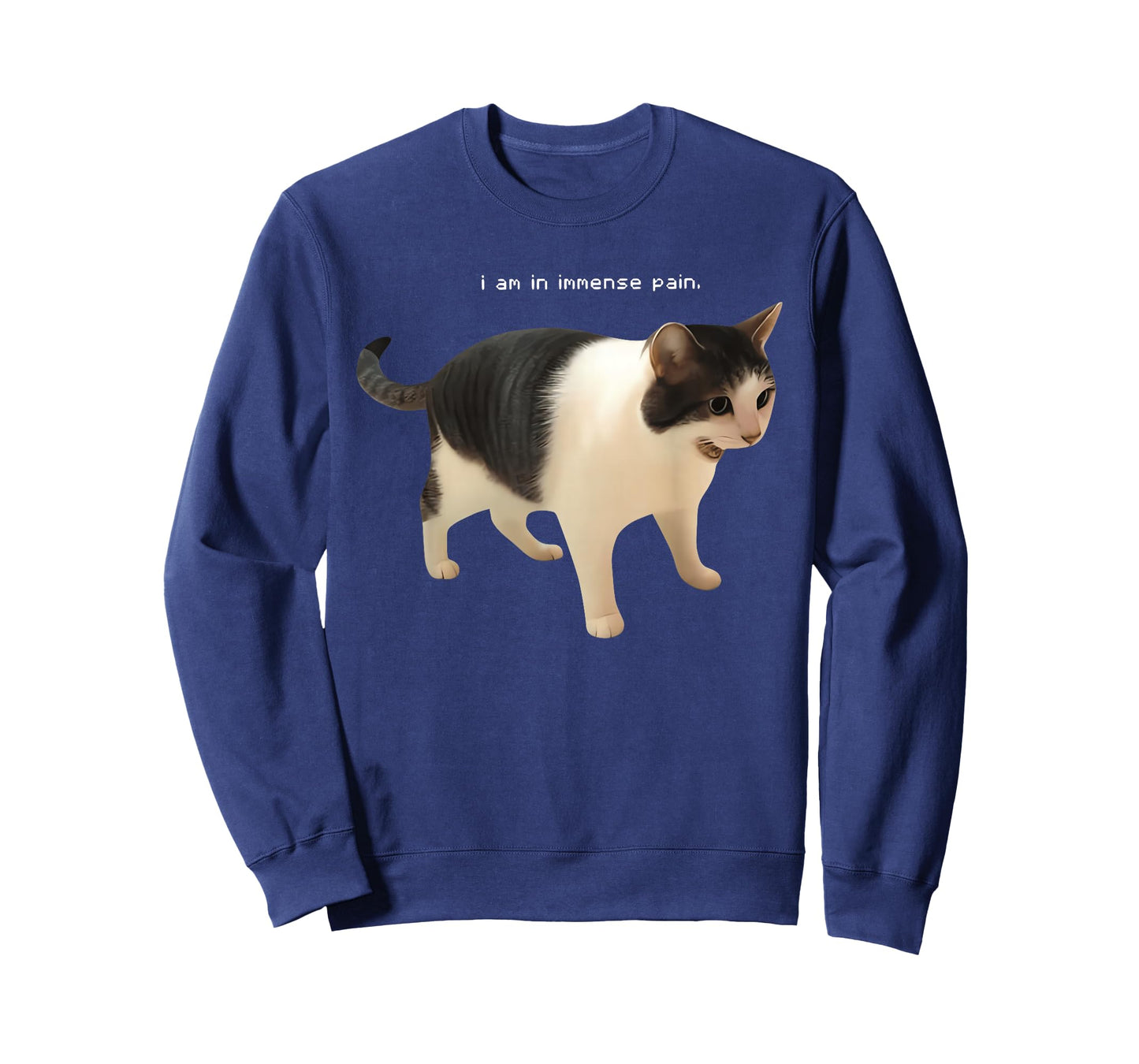 I Am in Immense Pain Funny Cat Meme Quote T-Shirt