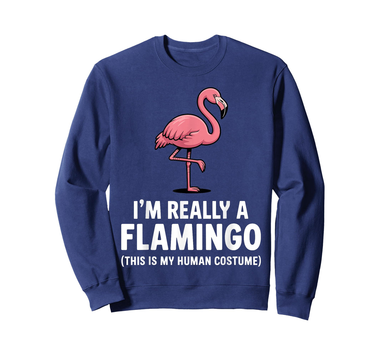 Funny Flamingo Design for Men Women Kids Bird Pink Flamingo T-Shirt